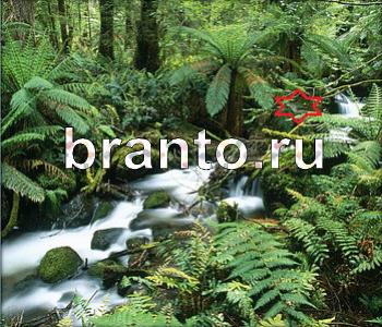 игра Ищи зверушек ответы в контакте Австралия