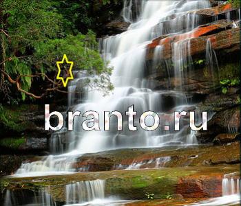 ответы на игру Ищи зверушек