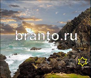 игра Ищи зверушек ответы в контакте