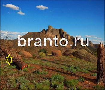 ответы на игру Ищи зверушек