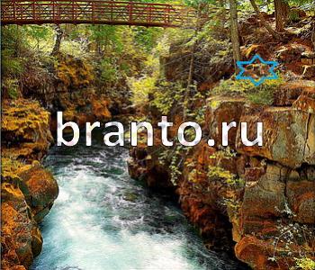 ответы на игру Ищи зверушек