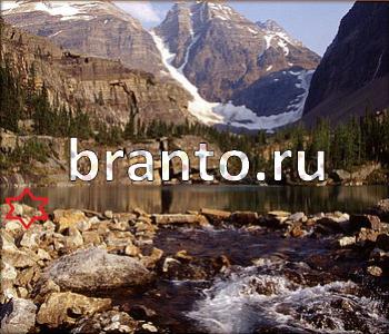 подсказки к игре Ищи зверушек