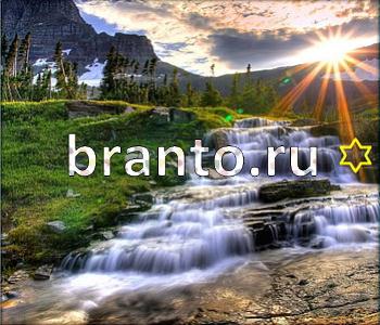 подсказки к игре Ищи зверушек