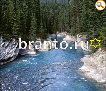 ответы на игру Ищи зверушек