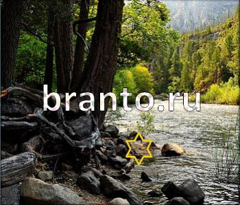 подсказки к игре Ищи зверушек