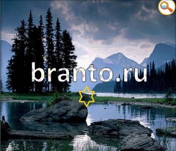 ответы на игру Ищи зверушек