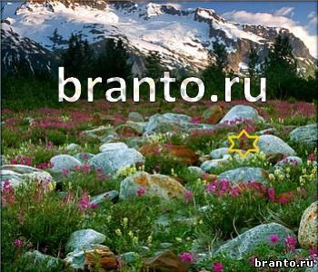 подсказки к игре Ищи зверушек