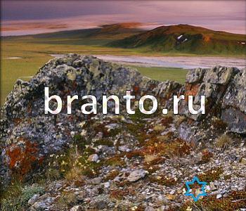 ответы на игру Ищи зверушек