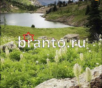 подсказки к игре Ищи зверушек