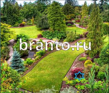 ответы на игру Ищи зверушек