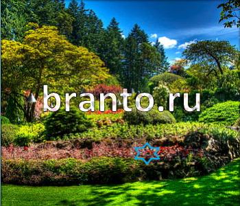 подсказки к игре Ищи зверушек