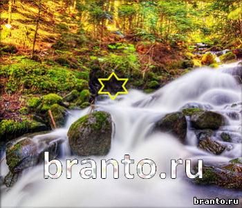 ответы на игру Ищи зверушек