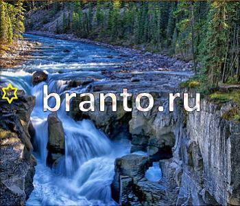 подсказки к игре Ищи зверушек