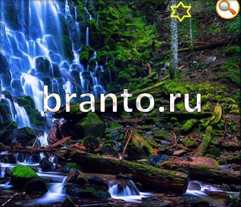 ответы на игру Ищи зверушек