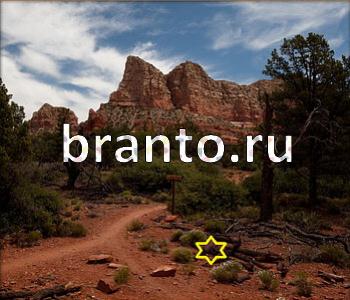 ответы на игру Ищи зверушек