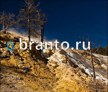 ответы на игру Ищи зверушек