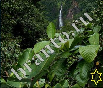 игра Ищи зверушек ответы в контакте