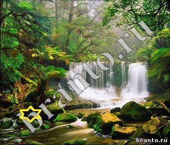 ответы на игру Ищи зверушек