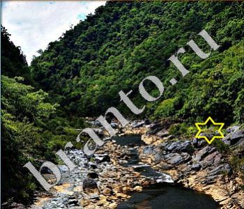 подсказки на игру Ищи зверушек