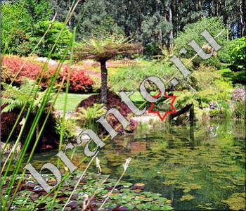 ответы на игру Ищи зверушек в контакте