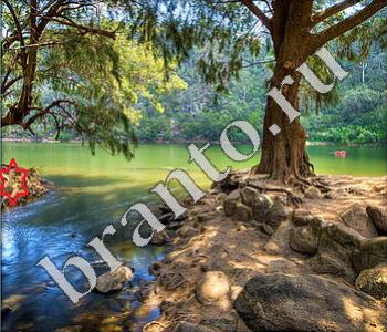 подсказки к игре Ищи зверушек