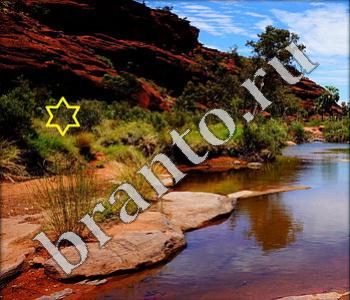 ответы на игру Ищи зверушек Австралия