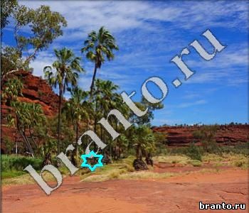 ответы для игр Ищи зверушек