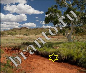 подсказки к игре Ищи зверушек