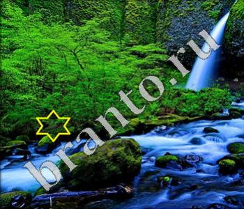 ответы на игру Ищи зверушек новые задания