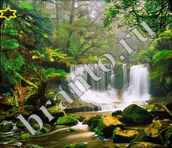 решебник на игру Ищи зверушек