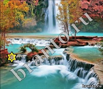 ответы на игру Ищи зверушек