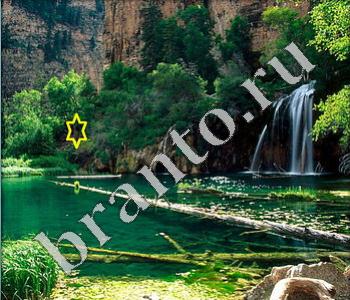 игра Ищи зверушек ответы в одноклассниках