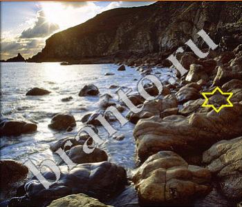 ответы на игру Ищи зверушек