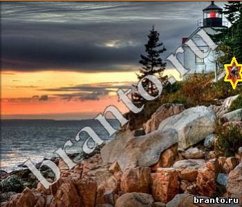 игра Ищи зверушек ответы в контакте Австралия