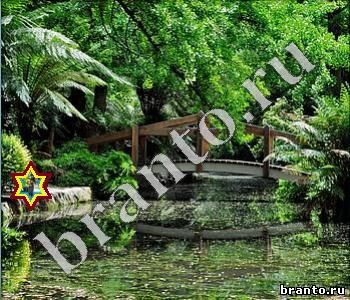 ответы на игру Ищи зверушек