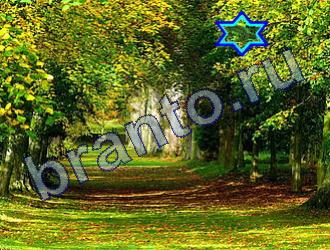 Найди животных игра ответы Уровень 1801