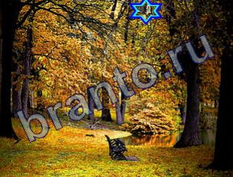 ответы на игру Найди животных Уровень 1802