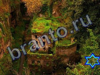 подсказки к игре Найди животных Уровень 1803