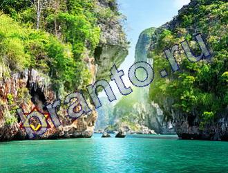 Найди животных решебник Уровень 1805