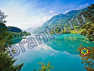 ответы на игру Найди животных Уровень 1806