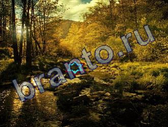 ответы на игру Найди животных Уровень 1807