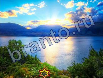 Найди животных подсказки в одноклассниках Уровень 1808