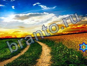 ответы на игру Найди животных Уровень 1809