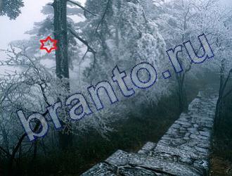 Игра Найди животных ответы Уровень 1810