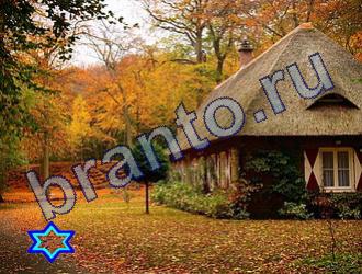 ответы на игру Найди животных Уровень 1811