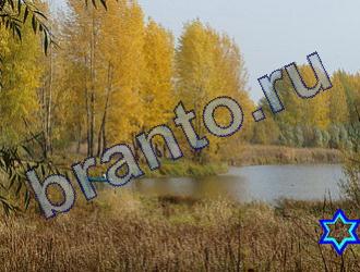 ответы на игру Найди животных Уровень 1812