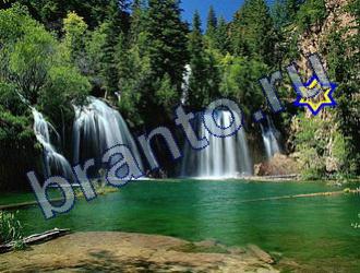 ответы на игру Найди животных Уровень 1813