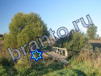 ответы на игру Найди животных Уровень 1814