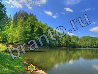 ответы на игру Найди животных Уровень 1816