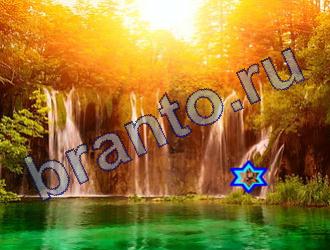 ответы на игру Найди животных Уровень 1817